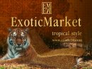 Exotic Market