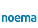 Noema marketing research