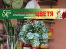 Увеличете снимка 4 - Магазини за цветя- Елф гарден