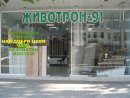 ЖИВОТРОН-91-ЖИВКО АТАНАСОВ